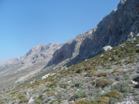 SNV80285.JPG